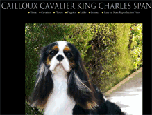 Tablet Screenshot of caillouxcavaliers.com